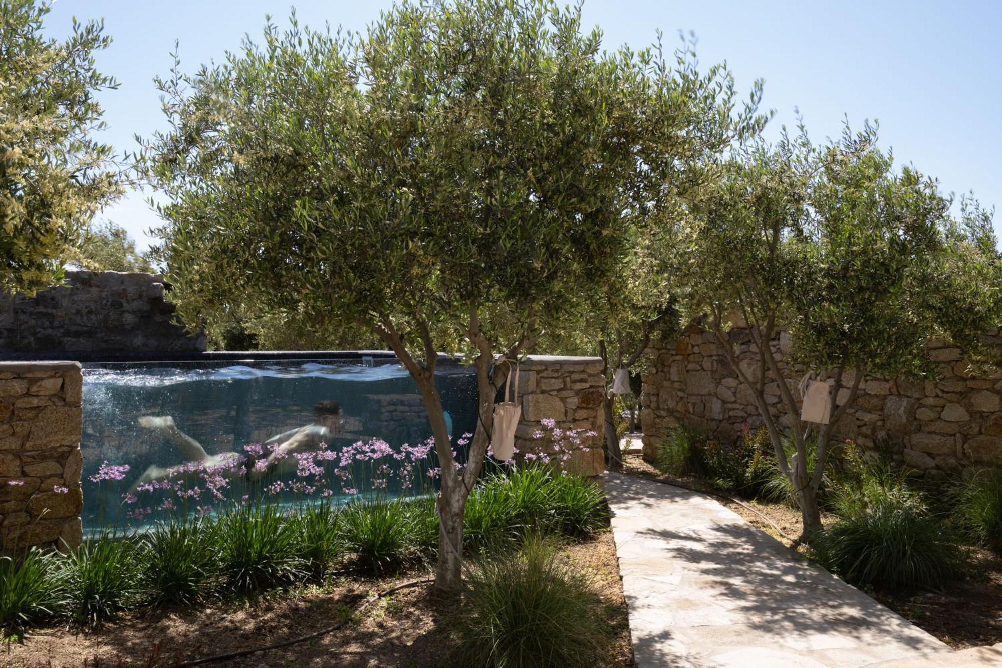 Ikies Of Mykonos Bed & Breakfast Mykonos Town Екстериор снимка
